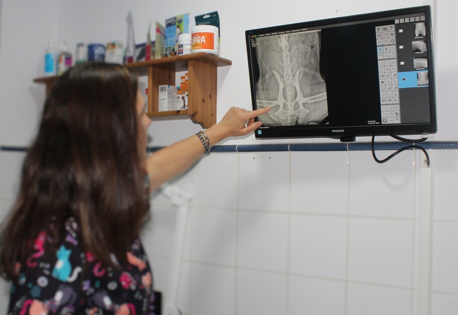 Radiología digital veterinaria