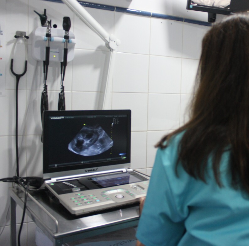 Servicios veterinarios: ecografía